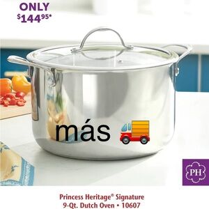 Princess House Heritage Stainless Steel Dutch Oven
